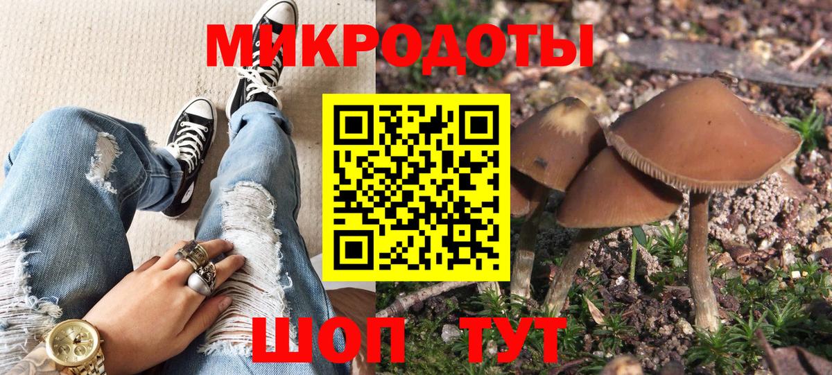 Карпинск  Галлюциногенные грибы Psilocybine cubensis  Вход с VPN 